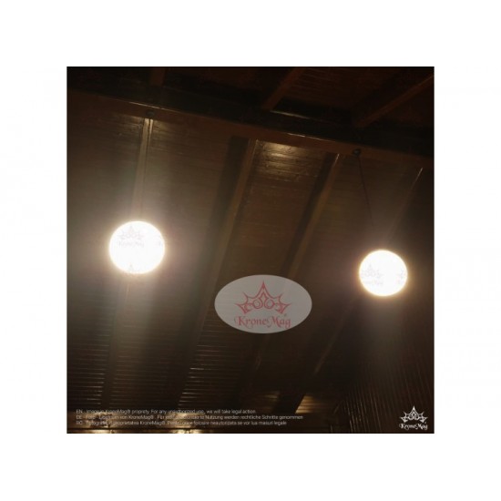 Antike Pendelleuchten P.G300