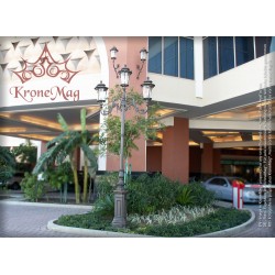 Kandelaber Mastleuchte aus Gusseisen D1-S21