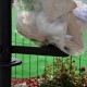 Abfallbehälter für Parkanlagen URBAN REC.13.CA